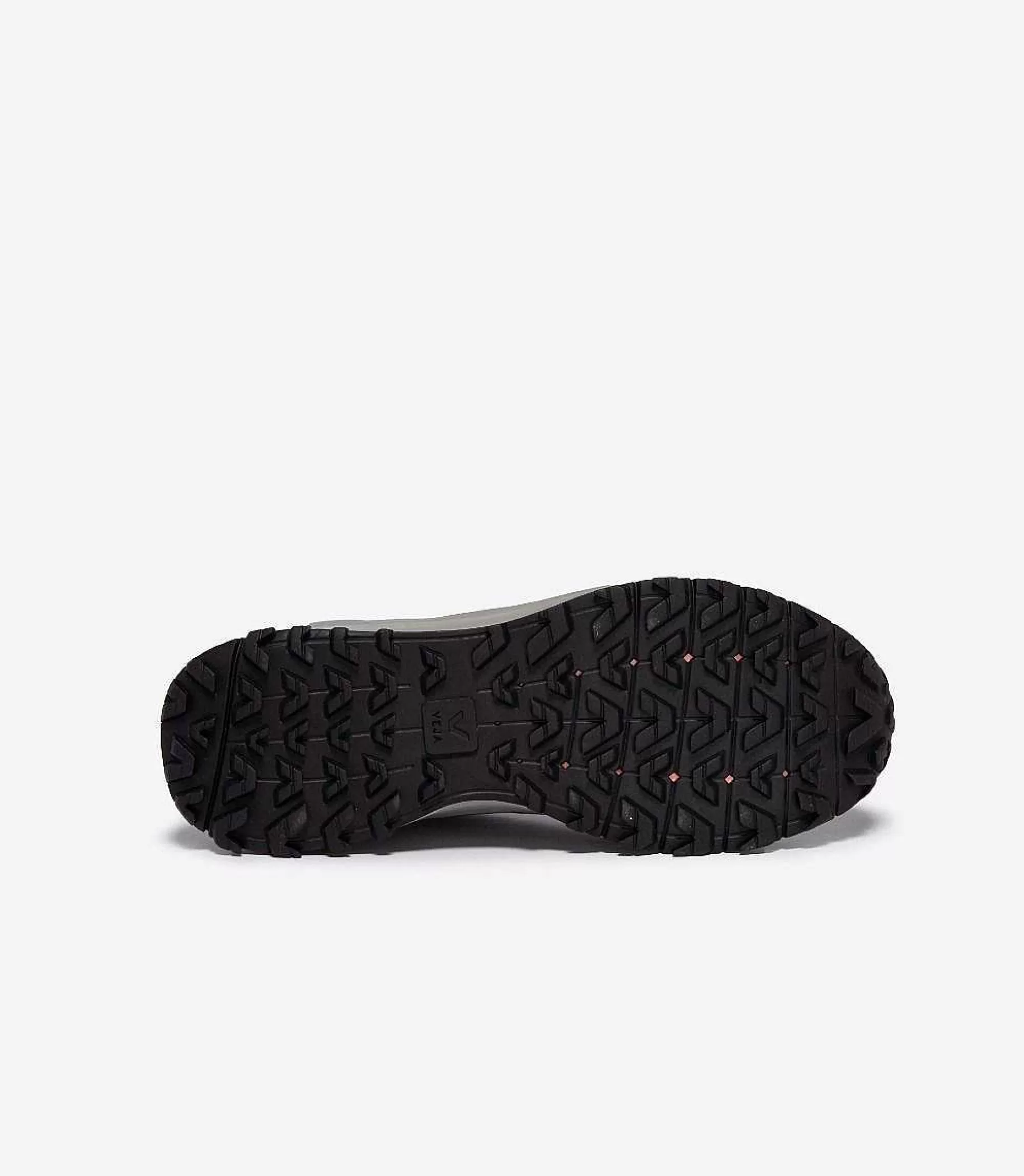 New Veja Store Veja X Etudes Shark